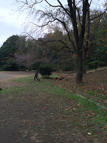 141109_05.jpg