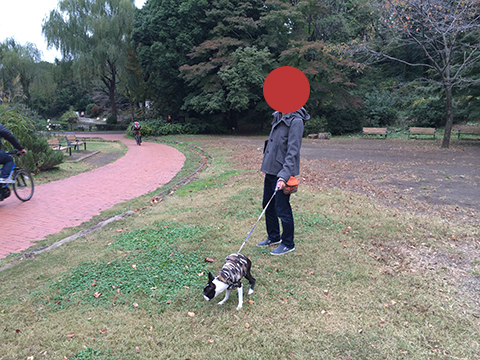 141109_07.jpg