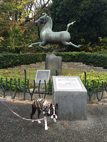 141109_14.jpg