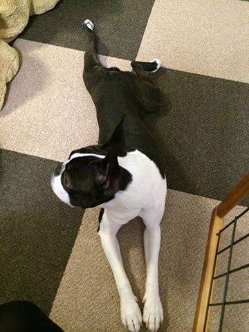 141110_04.jpg