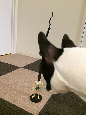 141110_08.jpg
