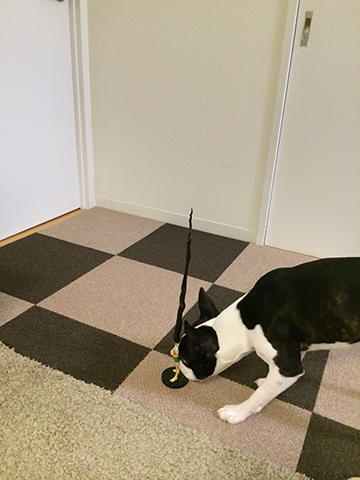 141110_11.jpg
