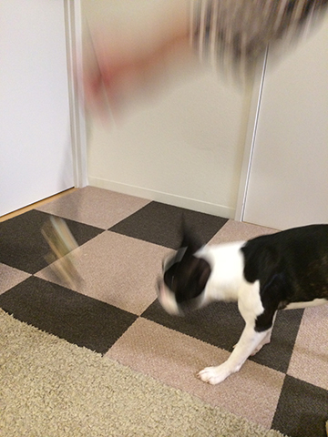 141110_12.jpg
