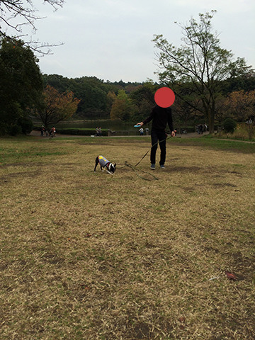 141111_09.jpg