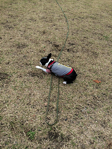 141111_10.jpg