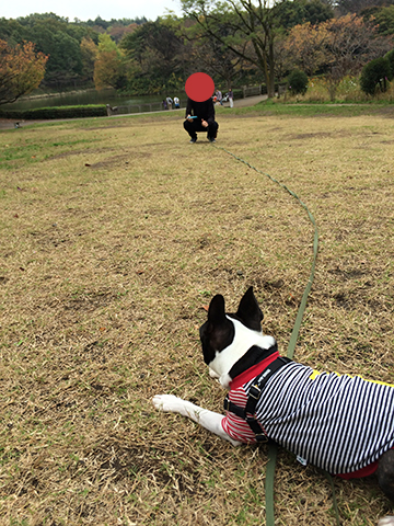 141111_11.jpg
