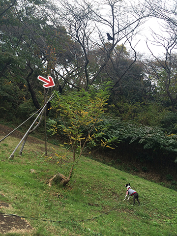 141111_14.jpg
