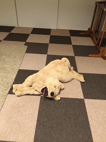 141113_06.jpg