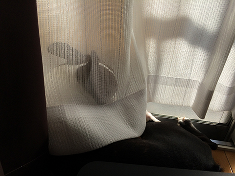 141114_01.jpg