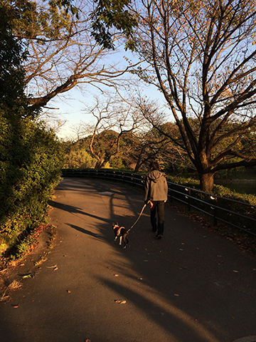 141116_06.jpg