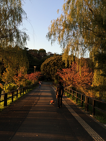 141116_09.jpg