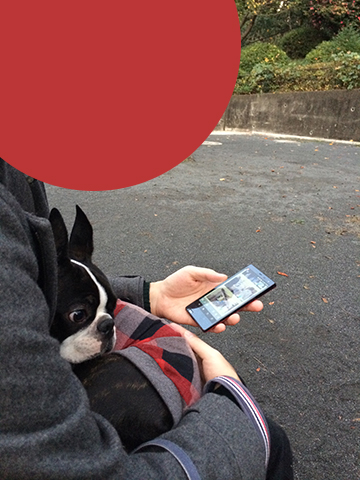 141116_10.jpg