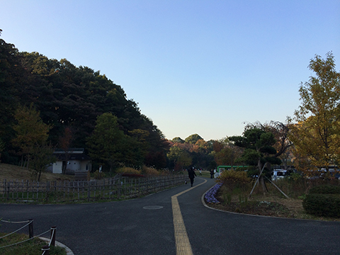 141122_02.jpg