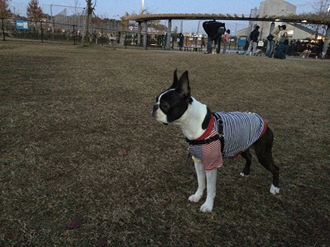 141209_06.jpg