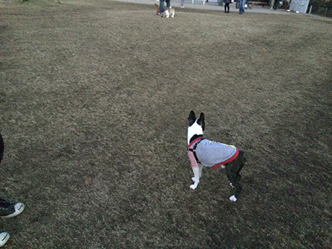 141209_07.jpg