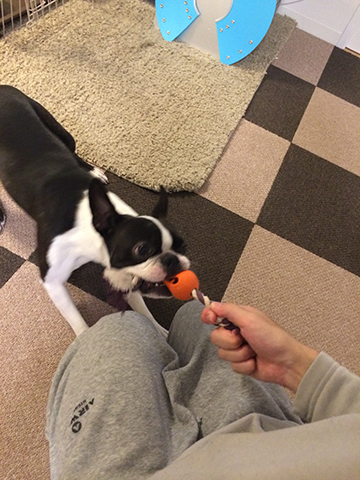 141211_05.jpg
