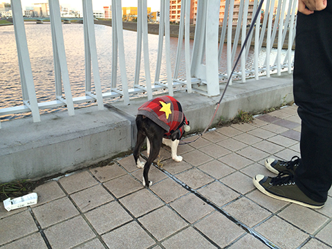 141214_05.jpg