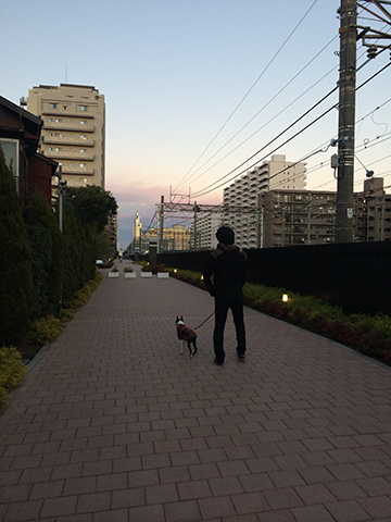 141214_06.jpg