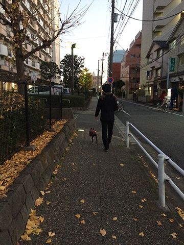 141214_07.jpg