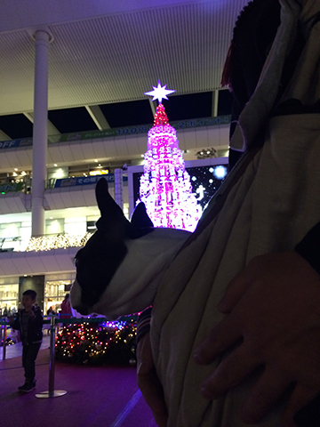 141214_08.jpg