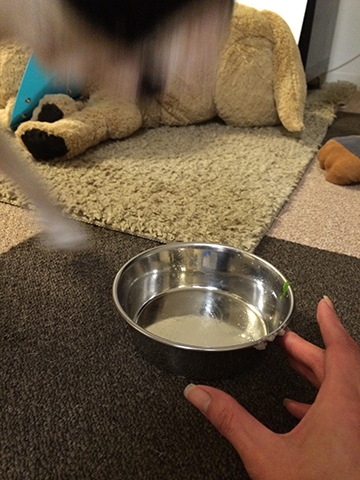 141216_07.jpg