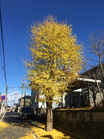 141217_02.jpg