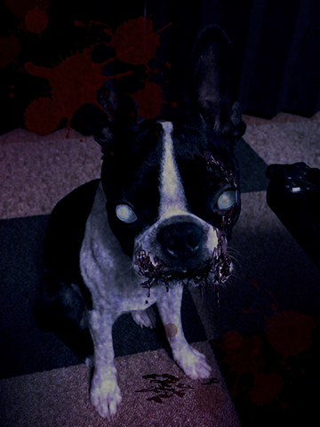iggy_08.png
