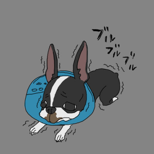 zukai_04.png