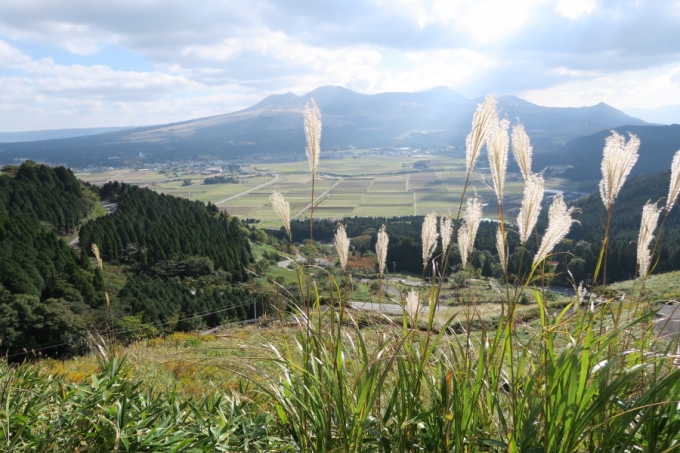 BIMG_0423.jpg