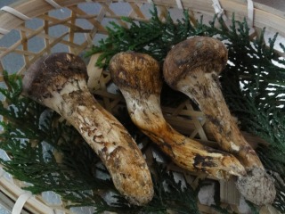 s_DSC07004.jpg