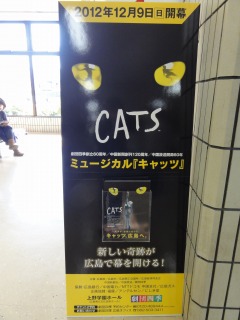 s_DSC08334.jpg