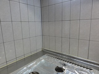 s_DSC08579.jpg