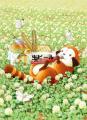 090420ario_rascal.jpg