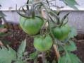 DSC00373.jpg