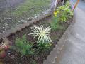 DSC00374.jpg