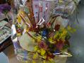 DSC00380.jpg
