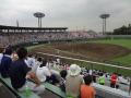 DSC00424.jpg