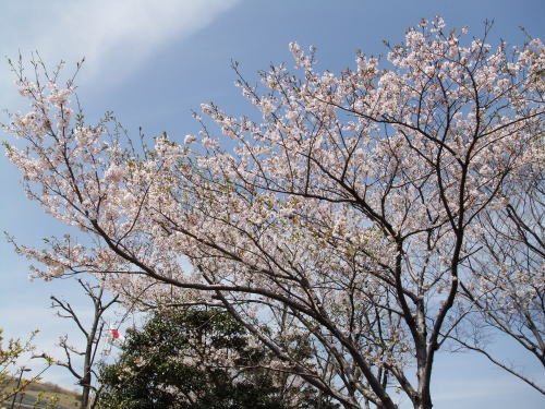 4_20130413014026.jpg