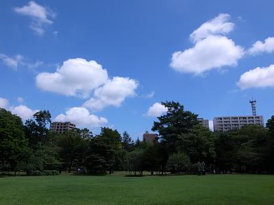 2012-08-03 11.21.05