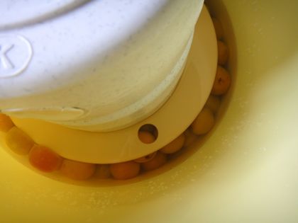 梅酢か#12441;上か#12441;った