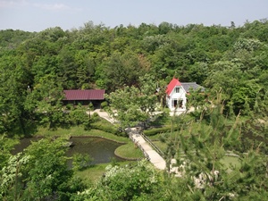 120518_02.jpg