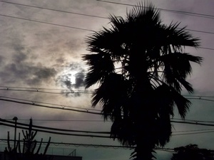 120620toba06.jpg