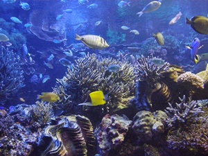 120620toba12.jpg