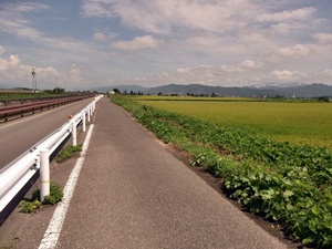 120816_19安曇野118