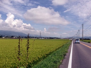 120816_19安曇野116