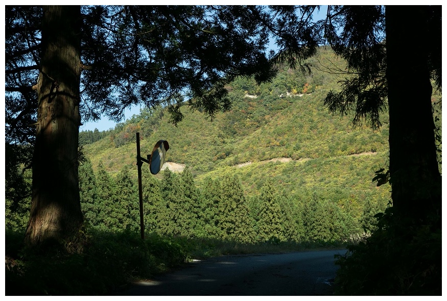 トンネルを抜けると、そこは山だった