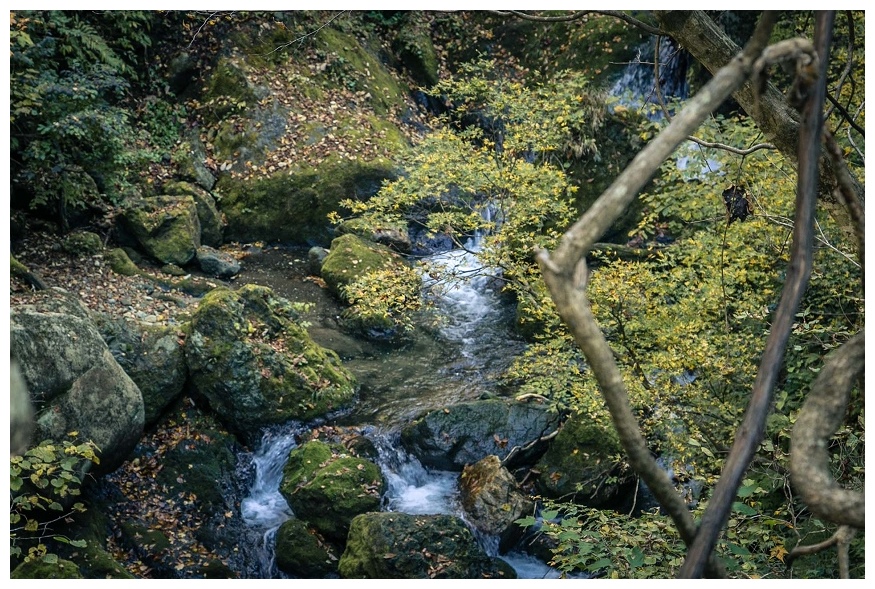 紅葉に早すぎた沢風景