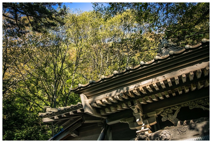 神社の屋根