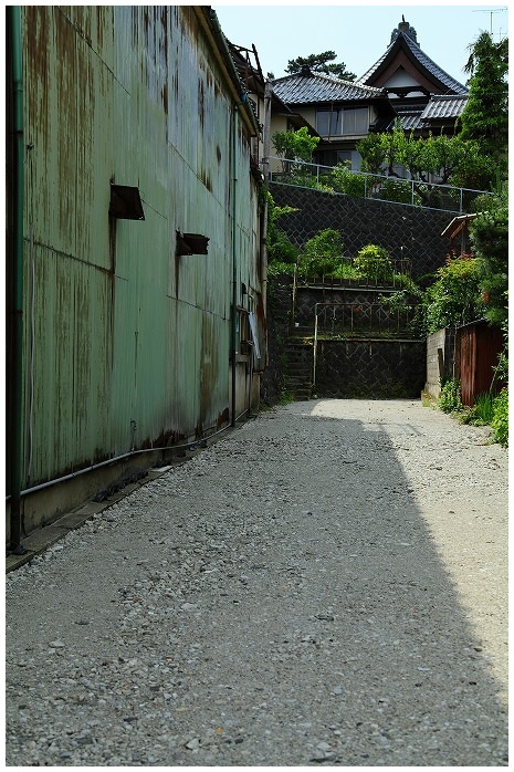 海向寺