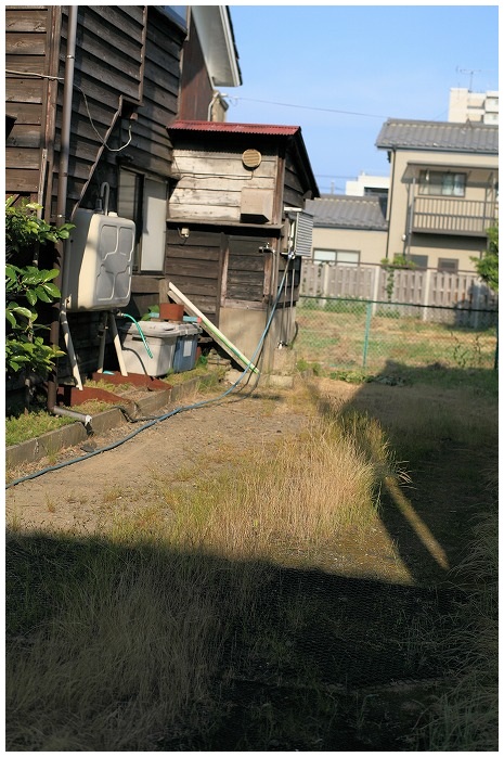 草地